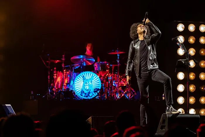 Alice In Chains