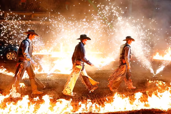 Pbr London 2019