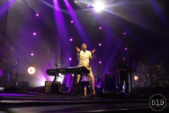 David Gray