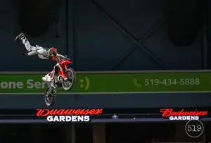 Fmx
