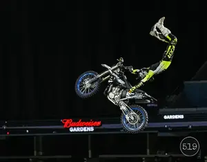 Fmx