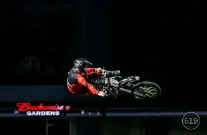 Fmx