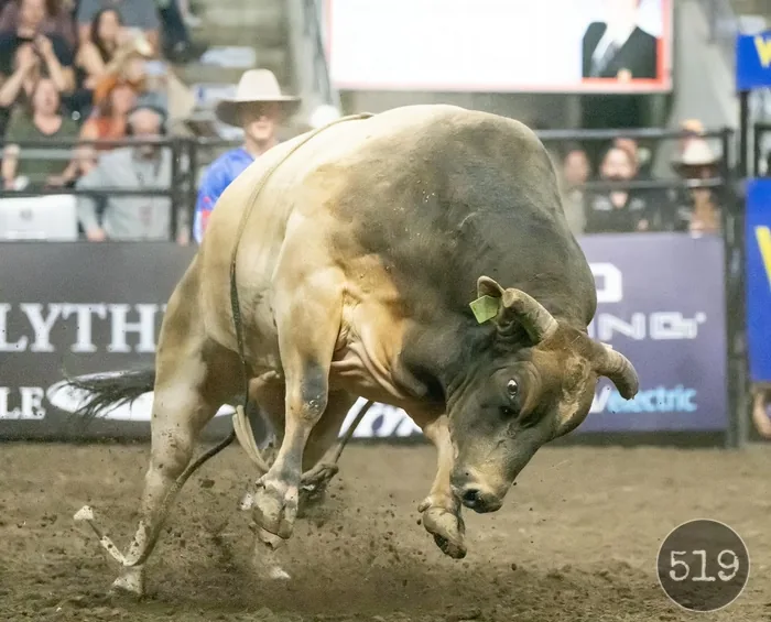 Daylon Swearingen