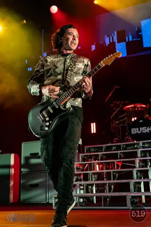 Bush
