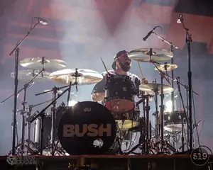 Bush