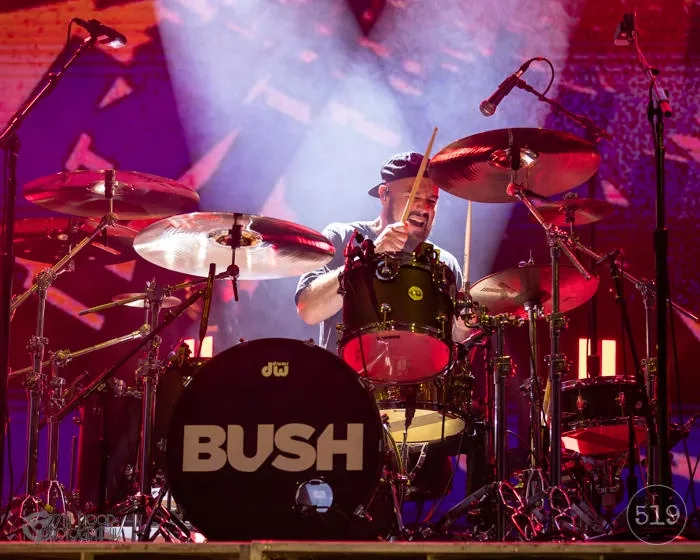 Bush