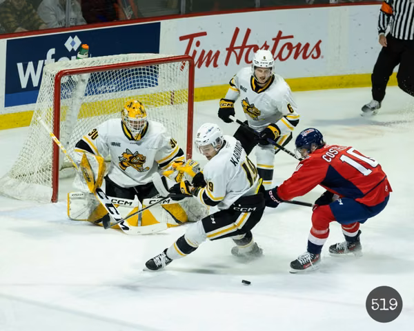 Spitfires Windsor 2025