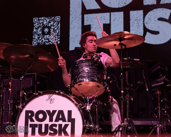 Royal Tusk Windsor 2026