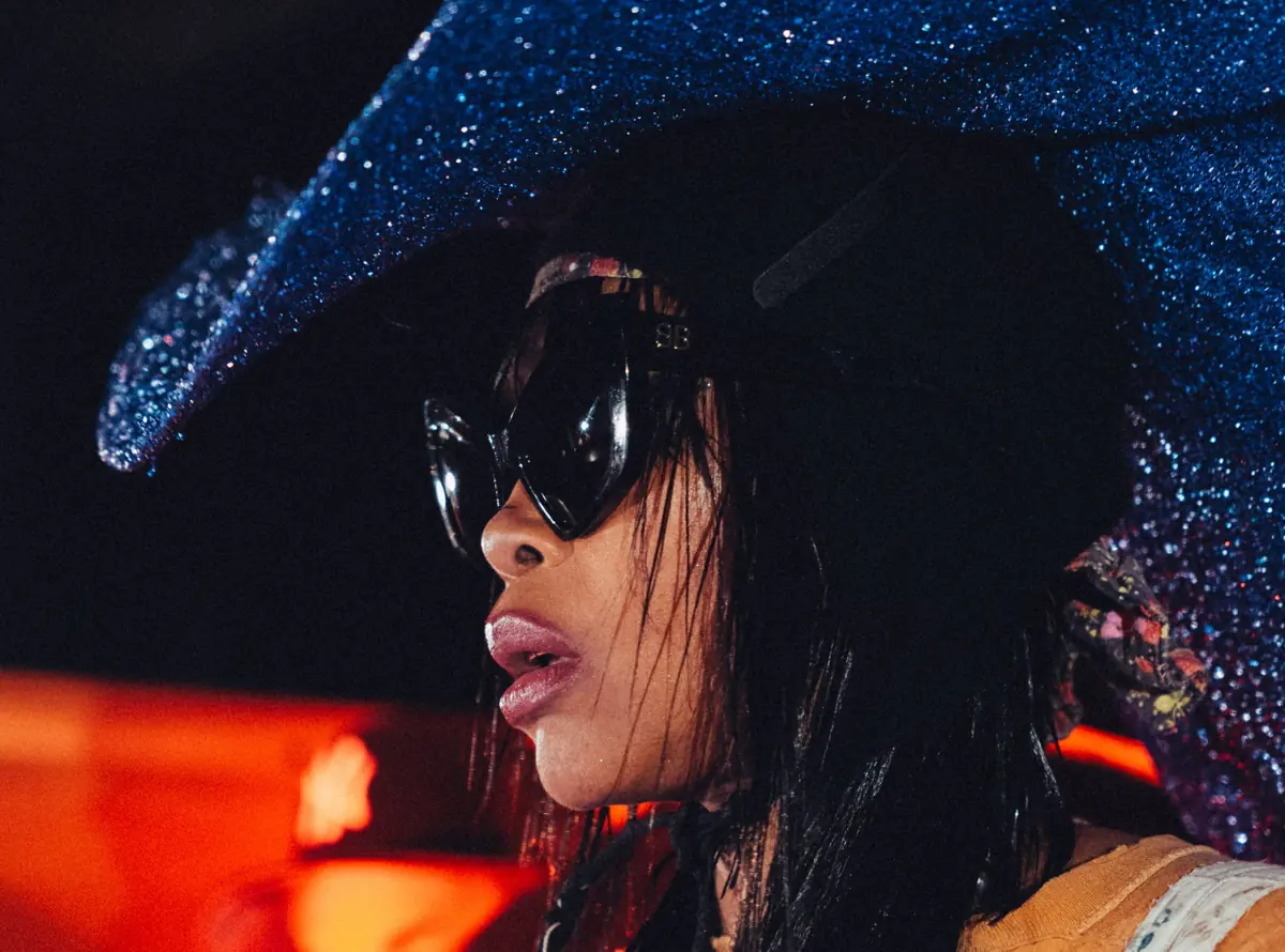 Erykah Badu at RBC Amphitheatre