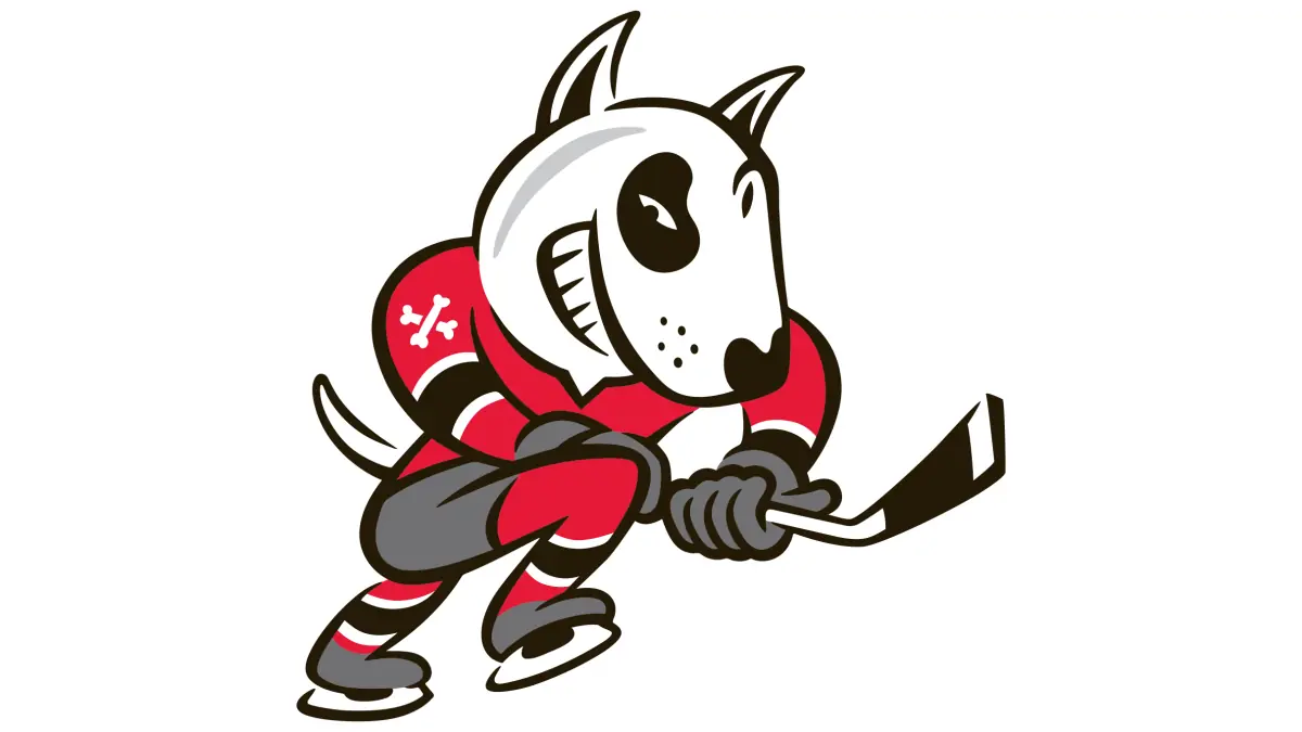 Niagara IceDogs at Meridian Centre